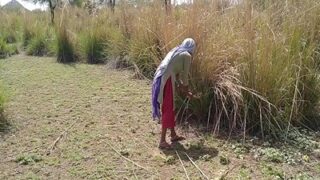 Tonton Video Mesum Desi Di Kebun, Si Bego Sama Kuli Ladang Lagi Main Kotor Di Luar.