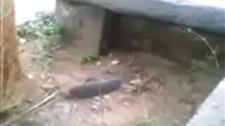 Video Mesum Desi Di Luar Rumah, Istri Jalang Lagi Ngentot Sama Selingkuhan
