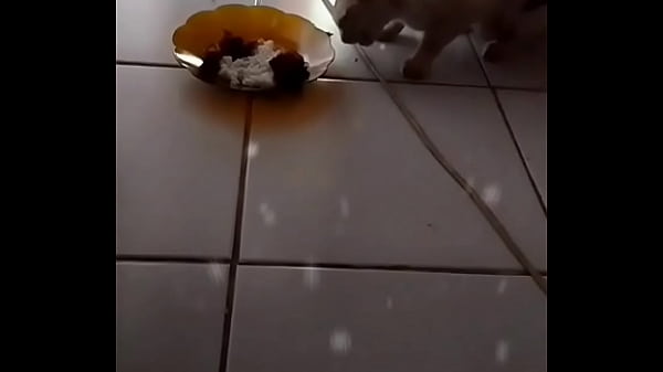 Anita, Si Pelacur Kelas Kakap Yang Bikin Dompet Kering Dan Napsu Menggelegak.