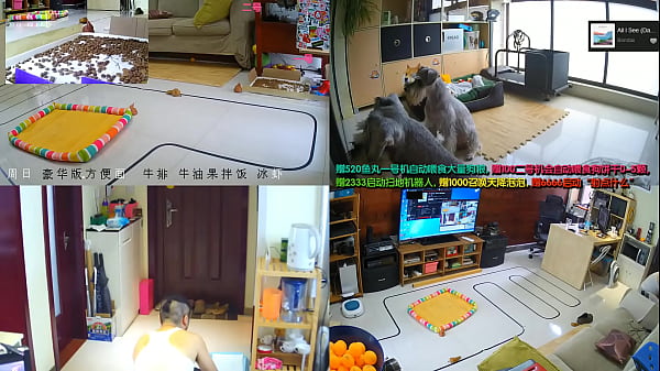 Cewek China Live, Goyang-goyang Bikin Ngilu, Bikin Pengen